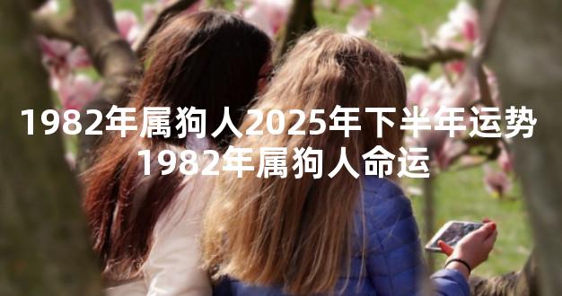 1982年属狗人2025年下半年运势 1982年属狗人命运